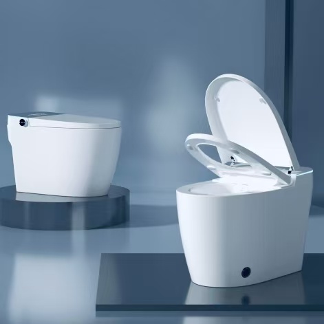 Smart Toilet